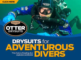 Image result for Stortford Divers