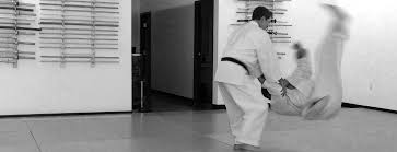 Image result for Renrukan school of continuous attack