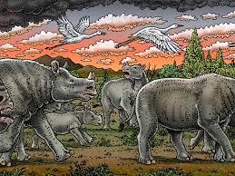 Image result for Rhyl Rhinos