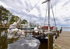 Image result for owl ship