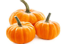 Image result for Kürbis