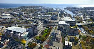 Image result for stamford cc