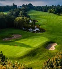 Image result for Carlow Golf Club