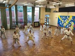 Image result for ZOKU SHOTOKAN KARATE (Baldock)