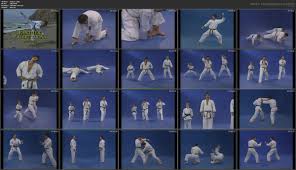 Image result for Colchester Wado Ryu Karate