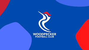 Image result for Lower Halstow Fc