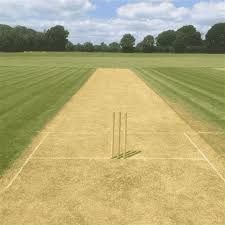 Image result for Whitchurch Wayfarers Cricket Club