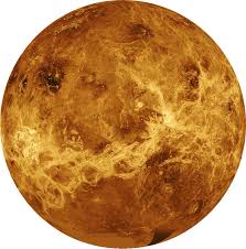 Image result for venus