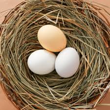 Attēlu rezultāti vaicājumam “nest”