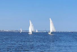 Image result for Dundee Sailing Club