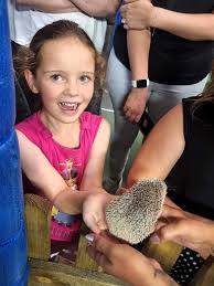 Image result for United in the Community - Skegness Tiny Pilgrims 3-4 years