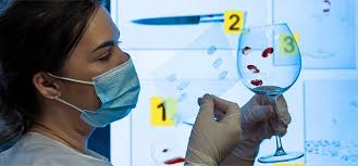 Image result for Skill Lab: Science Detective