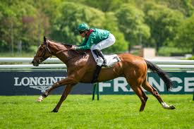 Image result for Thames Valley Riding Club