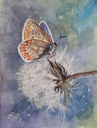 Attēlu rezultāti vaicājumam “Maculinea teleius”