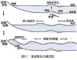 Image result for 高潮 津波 別物