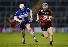 Image result for Patrick Sarsfield Gaelic Athletic Club