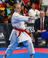 Image result for Independent Wadoryu Karate Federation