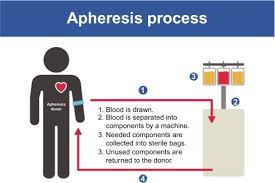 Image result for Autopheresis C