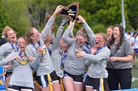 Image result for Kirkcaldy Bulls Flag football Club