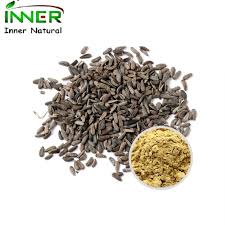 Attēlu rezultāti vaicājumam “Arctium lappa fruit”