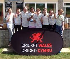 Image result for Fenton Cricket Club