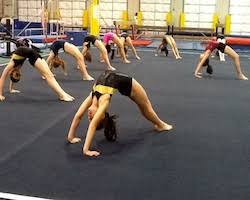 Image result for Dynamo Trampoline Academy