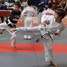 Image result for Skillz Martial Arts