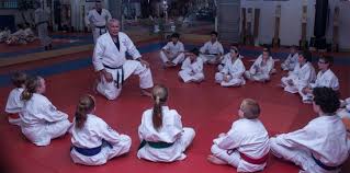 Image result for Excalibur Shotokan Karate Club
