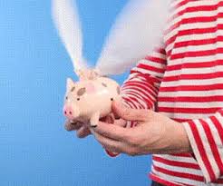 Image result for flying pigs