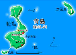 「青島蒼一」の画像検索結果