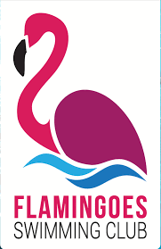 Image result for Crawley Swimming Club