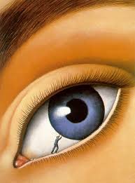 Afbeeldingsresultaat voor Rafal