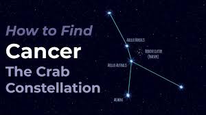 Image result for Cancer borealis