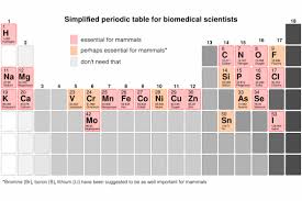 Image result for periodic table of elements