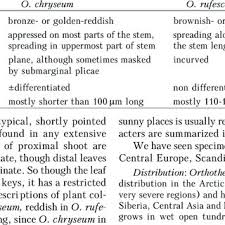 Attēlu rezultāti vaicājumam “Serpoleskea subtilis sporophyte”
