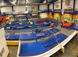 Image result for Fish trampoline and gymnastics club