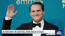 Central Park rock attack injures 'Boardwalk Empire' actor Michael ...