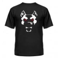 Image result for Мужская футболка Чижег пыжег