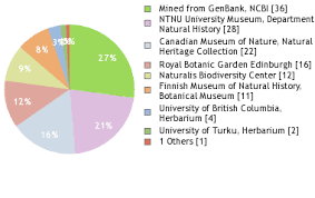 Attēlu rezultāti vaicājumam “Lophozia laxa”