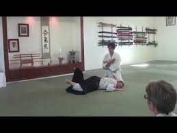 Image result for Sho Shin Kan Aikido Club