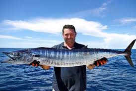 Image result for Acanthocybium solandri