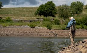 Image result for Runnymede Angling Association