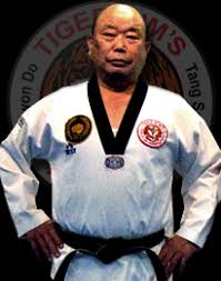 Image result for Kidderminster Tae Kwon Do Tigers