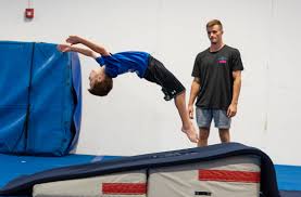 Image result for Fish trampoline and gymnastics club