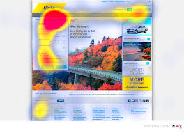 Image result for heat map eye