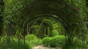 Image result for Priona Tuinen