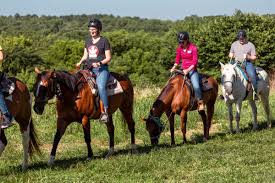 Image result for The Riding Centre