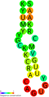 IRE 0.0 IRE 7.5에 대한 이미지 검색결과