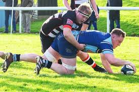 Image result for Dumfries Rugby Football Club