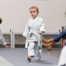 Image result for Trusted Guard Martial Arts Dojo